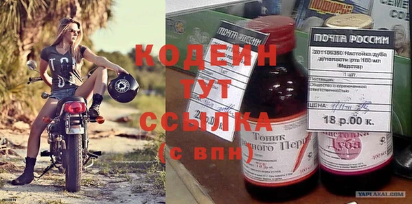 индика Беломорск