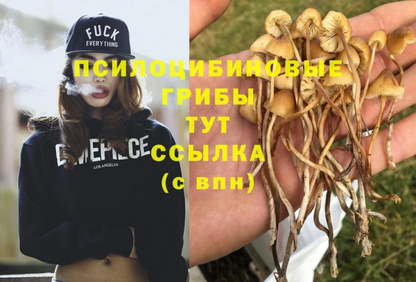 прущие крисы Балабаново