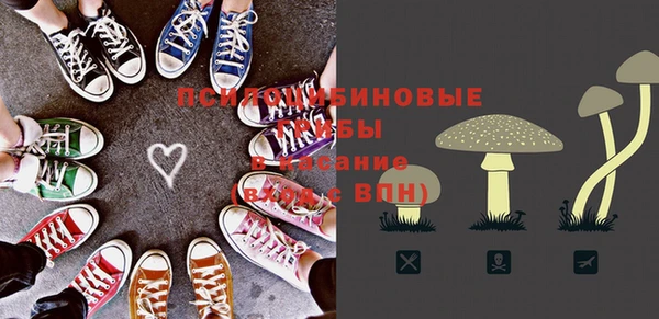 хмурый Балахна