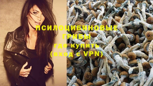 прущие крисы Балабаново