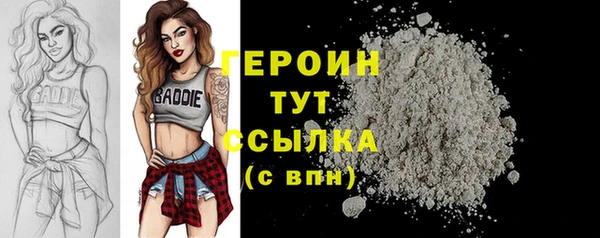 индика Беломорск