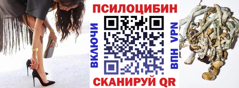 Псилоцибиновые грибы прущие грибы  наркотики  Новая Усмань 
