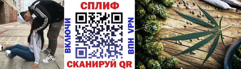 гидра вход  Новая Усмань  Бошки Шишки White Widow 